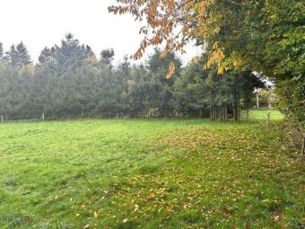 Bauen Sie Ihren Traum vom Haus in der malerischen Eifel Grundstück kaufen 53940 Hellenthal Bild mittel