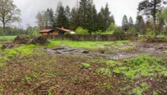 Baugrundstück am Rande der Lüneburger Heide Grundstück kaufen 21256 Handeloh Bild mittel