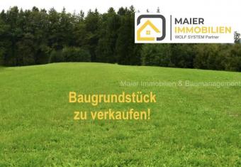 Baugrundstück auf 3 Seiten frei - Sahnestück Grundstück kaufen 85126 Münchsmünster Bild mittel