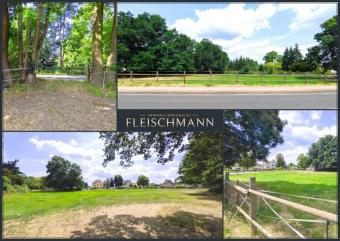 Baugrundstück für bis zu 5 Eigenheime – nur einen Katzensprung von Leipzig! Grundstück kaufen 04838 Doberschütz Bild mittel