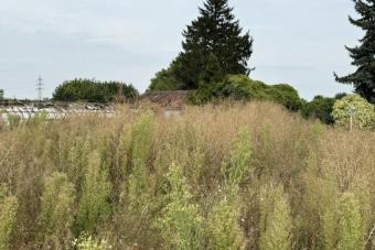 Baugrundstück für Wohnen oder Gewerbe in Hürth Grundstück kaufen 50354 Hürth Bild mittel