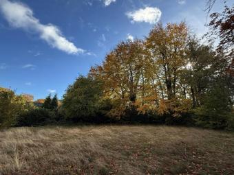 Baugrundstück in Roetgen: ca. 1560 m² mit schöner Aussicht ins Grüne Grundstück kaufen 52159 Roetgen Bild mittel