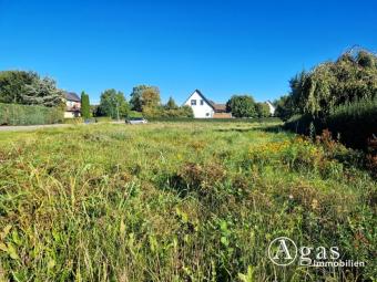 Bauträgerfreies ca. 1.976 m² großes Grundstück zu verkaufen Grundstück kaufen 17348 Mildenitz Bild mittel