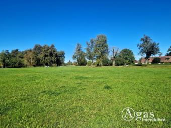 Bauträgerfreies ca. 3.800m² großes Grundstück in wunderbarer Lage, Bauland ca. 1.500 m² Grundstück kaufen 17237 Möllenbeck Bild mittel