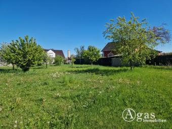 Bauträgerfreies Grundstück mit einer ca. 70 m² großen Lagerhalle und Obstbaumwiese Grundstück kaufen 15328 Küstriner Vorland Bild mittel