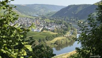 Beliebter Campingplatz mit Blick auf die Mosel mit Betreiberwohnung und Erweiterungsmöglichkeit Gewerbe kaufen 54317 Gusterath Bild mittel