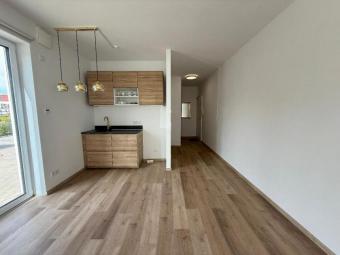 Boarding Apartment oder Büro im Erdgeschoss mit Terrasse und 2 Stellplätzen - Ein Objekt von Ihrem Immobilienpartner SOWA Immobilien und Finanzen Gewerbe kaufen 86633 Neuburg an der Donau Bild mittel