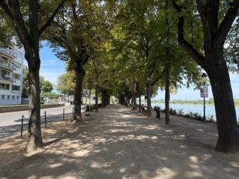 BONN Zentrum, tolle 3,5 Zi. Maisonnette-Whg, 93 m² Wfl. im 4 Part. Haus ca. 100 m vom Rhein, Balkon Wohnung mieten 53111 Bonn Bild mittel