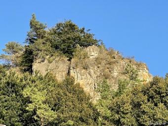 Campingplatz in beliebter Urlaubsregion - umsatzstarke Vollexistenz in Bestzustand, Betreiberwohnung Gewerbe kaufen 54570 Mürlenbach Bild mittel