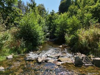 Campingplatz, Zimmervermietung und Gastronomie - gepflegte Familienexistenz in der Eifel Gewerbe kaufen 54568 Gerolstein Bild mittel