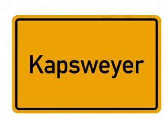 Das Haus für den handwerklich begabten Käufer Haus kaufen 76889 Kapsweyer Bild mittel