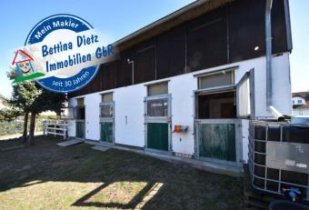 DIETZ: Platz Für Ross und Reiter! Wohnhaus + Gewerbegebäude mit 6 Pferdestallungen! In Feldrandnähe! Haus kaufen 64832 Babenhausen Bild mittel