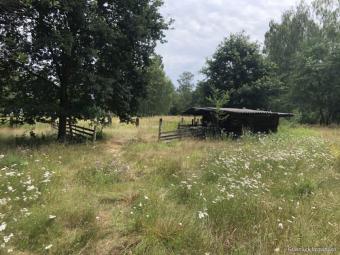 Diverse landwirtschaftliche Grundstück zu verkaufen - Liste auf Anfrage Grundstück kaufen 63450 Hanau Bild mittel