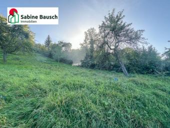 Dornrösschen Garten - Prinz gesucht! Grundstück mieten 73630 Remshalden Bild mittel