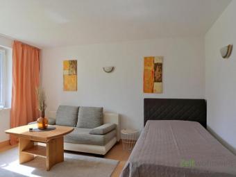 (EF1014_M) Erfurt: Möbisburg-Rhoda, neu möbliertes Apartment für Wochenendheimfahrer in ruhiger Wohnlage Wohnung mieten 99094 Erfurt Bild mittel