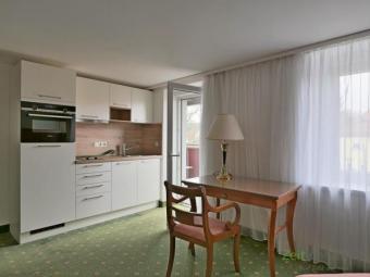 (EF1045_M) Dresden: Lockwitz, Erstbezug in neu möbliertes 2-Zi-Apartment mit Balkon, gepflegtes Haus mit Garten Wohnung mieten 01257 Dresden Bild mittel
