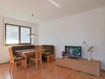 (EF1364_M) Chemnitz: Reichenbrand, neu renovierte und neu möblierte Wohnung mit TG-Stellplatz und Terrasse Wohnung mieten 09117 Chemnitz Bild mittel