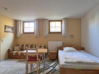 (EF1385_M) Dresden: Mickten, möbliertes Apartment im Hinterhaus mit separatem Hauseingang, an Wochenendheimfahrer Wohnung mieten 01139 Dresden Bild mittel