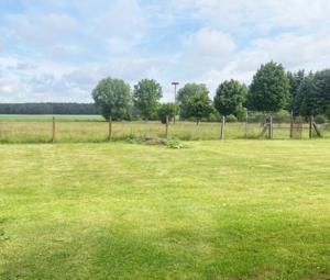 Ehemaliger Bauernhof Haus kaufen 03238 Finsterwalde Bild mittel