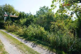 +++EINE PERLE IN IDYLLISCHER LAGE VON Pönitz - WOCHENENDGRUNDSTÜCK M. BUNGALOW u. NEBENGEBÄUDE+++ Grundstück kaufen 04425 Taucha (Landkreis Nordsachsen) Bild mittel