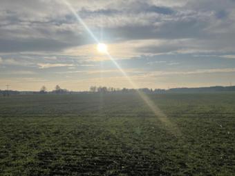 Einfamilienhaus in Alleinlage Haus kaufen 03253 Doberlug-Kirchhain Bild mittel
