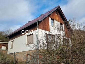 Einfamilienhaus + mit Terrassen Garten und Garage Haus kaufen 98596 Trusetal Bild mittel