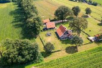 Einzigartiger Bauernkotten in idyllischer Alleinlage von Neuenhaus - Grasdorf Haus kaufen 49828 Neuenhaus Bild mittel