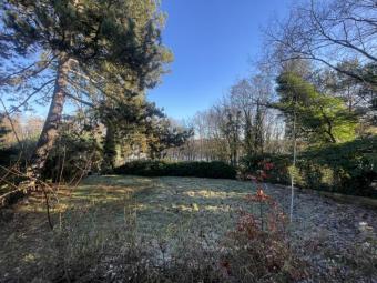 Einzigartiges Wohnbaugrundstück am Groß Glienicker See Grundstück kaufen 14476 Potsdam Bild mittel