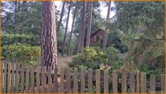 Erholungslage mit Blockhaus.....auch Traumhaus Grundstück kaufen 14552 Michendorf Bild mittel