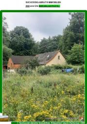 *** Fast Alleinlage am Wald - EFH *** Haus kaufen 14827 Wiesenburg/Mark Bild mittel