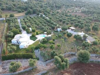 Ferienhaus - Italien-Apulien-Ostuni... wunderschöne Ferienhäuser auf einer Olivenplantage Haus 70178 Stuttgart Bild mittel