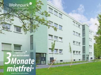 Frisch sanierte 3 Zimmer-Ahorn-Luxuswohnung im Wohnpark Zum Schanzengraben!
3 Monate mietfrei! Wohnung mieten 59427 Unna Bild mittel