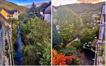 Frühjahres-Angebot: Wohnhaus mit 3 Wohnungen (Ferienwohnungen) an der Mosel Haus kaufen 56850 Briedeler Heck Bild mittel