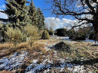 Großes Baugrundstück in Oranienburg - Eigenheim oder Doppelhaus möglich Grundstück kaufen 16515 Oranienburg Bild mittel