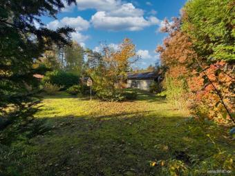 großes Baugrundstück in Zühlsdorf bei Oranienburg Grundstück kaufen 16515 Zühlsdorf Bild mittel