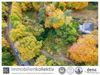 Großes Grundstück in Traumlage am Wald! Grundstück kaufen 21224 Rosengarten Bild mittel