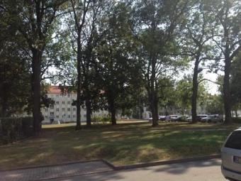 *** Großzügige 3-Zimmer mit Balkon, Laminat und Wannenbad in sehr schöner Lage! *** Wohnung mieten 09126 Chemnitz Bild mittel