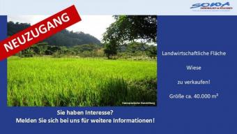 Großzügige Landwirtschaftsfläche / Wiese in Königsmoos, evtl. Ausgleichsfläche oder PV - Ein Objekt von SOWA Immobilien & Finanzen Ihrem Immobilienprofi vor Ort Grundstück kaufen 86669 Königsmoos Bild mittel