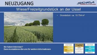 Großzügige Wiese/Freizeitgrundstück in Rennertshofen - Stepperg an der Ussel zu verkaufen - Ein Objekt von SOWA Immobilien & Finanzen Ihrem Immobilienprofi vor Ort Grundstück kaufen 86643 Rennertshofen Bild mittel