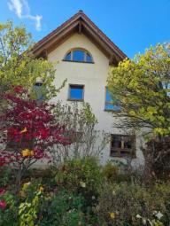 Großzügiges Einfamilienhaus in ruhiger Toplage von Lampertheim Haus kaufen 68623 Lampertheim Bild mittel