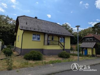 großzügiges Einfamilienhaus mit Keller in Niedergörsdorf / Altes Lager Haus kaufen 14913 Niederer Fläming Bild mittel