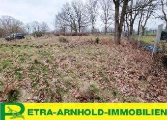 Grünes Refugium - Grundstück in Randlage in Neuendorf Grundstück kaufen 17440 Lütow Bild mittel