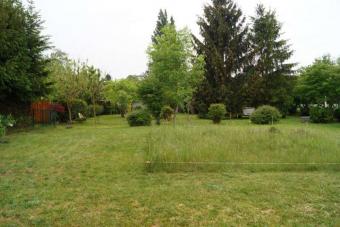 Grundstück in Dabendorf mit Blick auf Feld und Naturschutzgebiet Grundstück kaufen 15806 Christinendorf Bild mittel