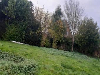 Grundstück in gepflegter Wohnlage – ideal für ein Zuhause in ruhiger Umgebung Grundstück kaufen 32429 Minden Bild mittel