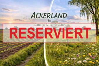 Gut erreichbares Ackerland in Emmericher-Eyland! Grundstück kaufen 47546 Kalkar Bild mittel