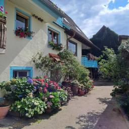 Haus mit Seele sucht Menschen mit Herz Haus kaufen 79336 Herbolzheim Bild mittel