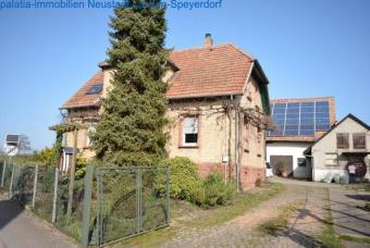 Haus mit zwei Wohneinheiten und 7000m² Grundstück Bornheim Haus kaufen 76879 Bornheim Bild mittel