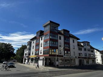 Helle 2-Raumwohnung mit 2 TG-Stpl! Fahrstuhl; Marienthal - Nähe HBK! Wohnung kaufen 08060 Zwickau Bild mittel