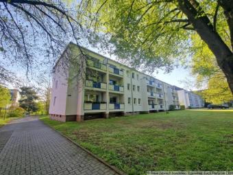 Helle Dachgeschosswohnung mit Balkon und Blick ins Grüne in Reichenbrand Wohnung mieten 09117 Chemnitz Bild mittel