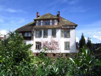 Historische Villa auf 1.588 m² Gartengrundstück! Haus kaufen 79588 Efringen-Kirchen Bild mittel
